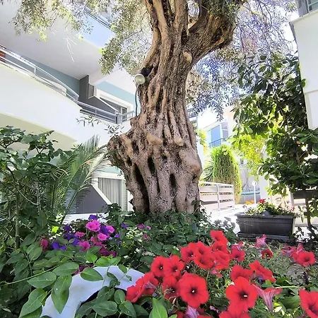 Kapsohora Otel *