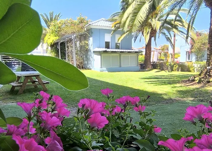 Kapsohora Pefkochori