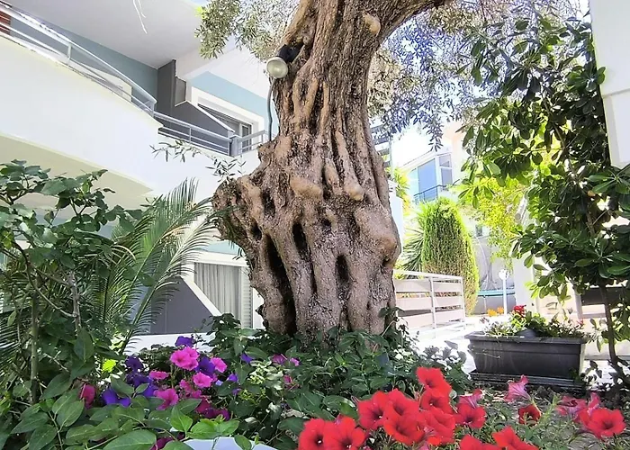 Kapsohora Hotel *